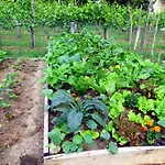 Ulvf Les Beaupins 3* Saint-Denis-d'Oleron