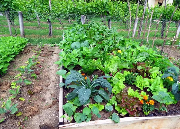 Ulvf Les Beaupins 3* Saint-Denis-dʼOléron